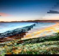 Full-Day Guided Bruny Island Tour from Hobart - Sydneys Hotel