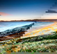 2 Day - Two of Tasmania's Best Tour - Sydneys Hotel