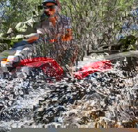Quad Bike 2-Hour Adventure Freycinet National Park
