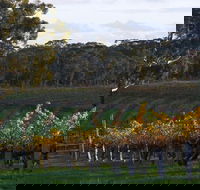 Barossa Valley with Hahndorf Tour from Adelaide - Sydneys Hotel