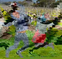 Mclaren Vale Luxury Full Day Small Group Wine Tour