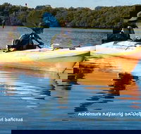 Adelaide Dolphin Sanctuary and Ships Graveyard Kayak Tour - Sydneys Hotel