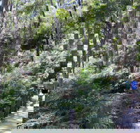 Self-Guided Waterfall Gully to Mount Lofty Hike from Adelaide - Sydneys Hotel