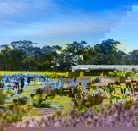 Micro-Group Barossa Valley Wine Tour from Adelaide - Sydneys Hotel