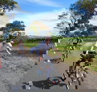 McLaren Vale Wine Tour by Bike - Sydneys Hotel