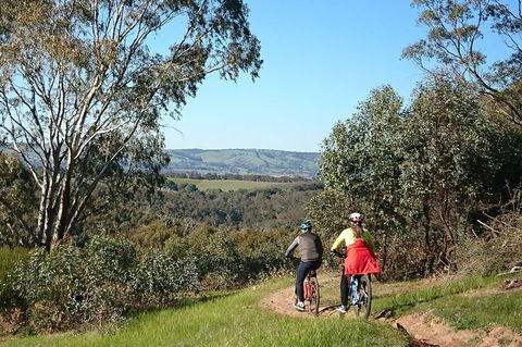 McLaren Vale Wine Tour By Bike - Sydneys Hotel 13