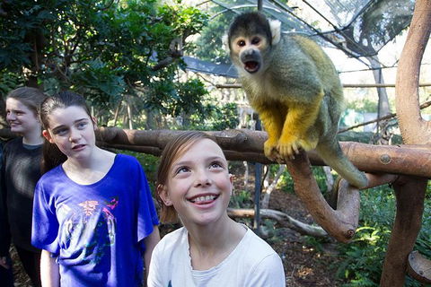 Adelaide Zoo Behind The Scenes Experience: Squirrel Monkey Feeding - Sydneys Hotel 1
