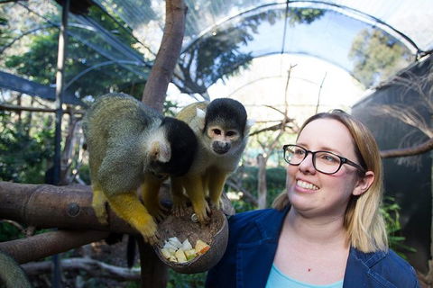 Adelaide Zoo Behind The Scenes Experience: Squirrel Monkey Feeding - Sydneys Hotel 0