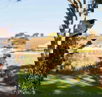 Micro-Group McLaren Vale Wine Tour from Adelaide - Sydneys Hotel