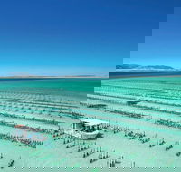 Coffin Bay Private Day Tour from Port Lincoln - A Taste of Coffin Bay - Sydneys Hotel