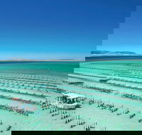 Coffin Bay Day Tour - A Taste of Coffin Bay - Sydneys Hotel