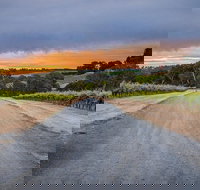 The Ultimate Shottesbrooke Wine  Food Experience