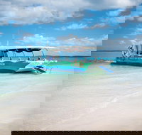 Great Sandy Marine Park Turtle Discovery and Cultural Eco Tour