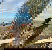 Goolimbil Walkabout Indigenous Experience in the Town of 1770 - Sydneys Hotel