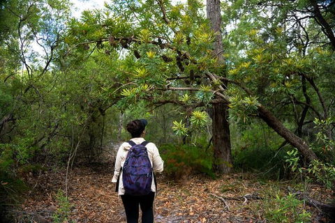Pack-free Camping: Lake McKenzie Central Hike - 2 Days - Sydneys Hotel 1