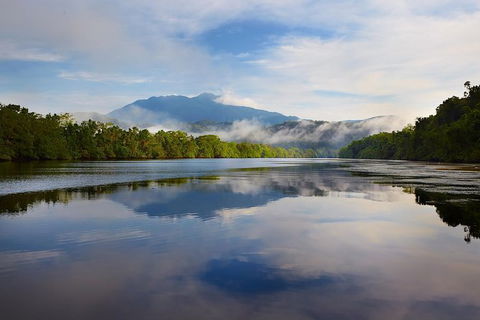 Daintree River Dawn Cruise - Sydneys Hotel 5