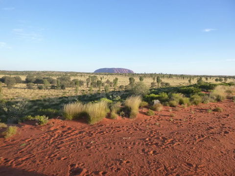 Uluru Small-Group Tour By Camel At Sunrise Or Sunset - Sydneys Hotel 9