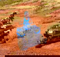 Aussie Outback Air and Land Tour Including Quad Bike Ride