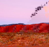 Best of Ayers Rock Sunset Uluru and Sunrise Kata Tjuta Small Group Tours