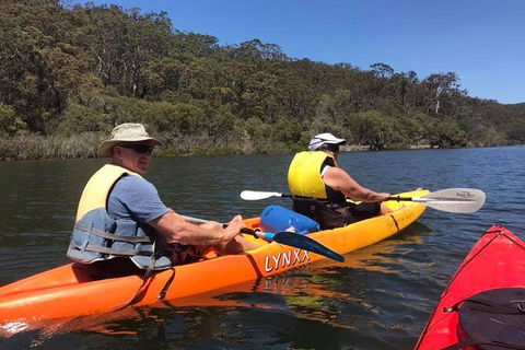 Paddle In Paradise - 4 Hours Double Kayak Hire - Sydneys Hotel 4