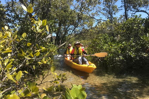Paddle In Paradise - 4 Hours Double Kayak Hire - Sydneys Hotel 5