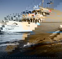 Jervis Bay Dolphin Watch Cruise - Sydneys Hotel