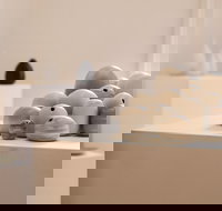 Altenburg and Co - Sydneys Hotel