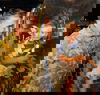 Australian Army Flying Museum