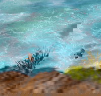 Birdwatching on the Fraser Coast