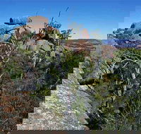 Evans Crown Nature Reserve - Sydneys Hotel