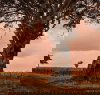 Hynam - Sydneys Hotel