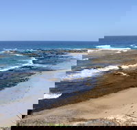 Little Shelley - Sydneys Hotel