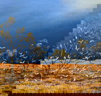 Lyn Barnes Gallery - Sydneys Hotel