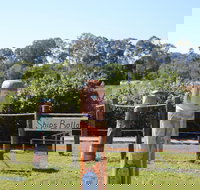 Maryboroughs Bollards