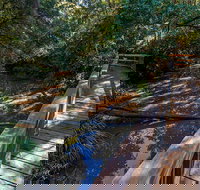 Ms Kellys Walking Track - Sydneys Hotel