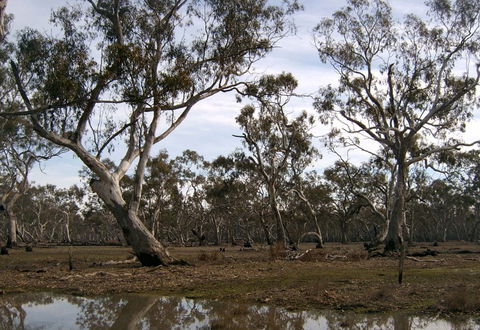 Murchison Rail Trail - Sydneys Hotel 1