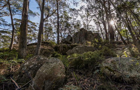 Pheasants Peak Walking Track - Sydneys Hotel 0