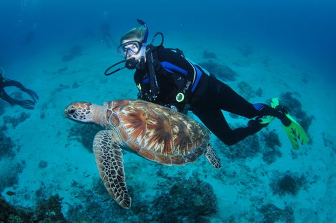 Second Reef Dive Site - Sydneys Hotel 0