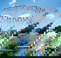 Sister Kenny Memorial Nobby - Sydneys Hotel