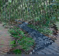 The Channon Protesters Falls Nimbin and Mount Nardi - Sydneys Hotel