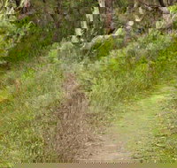 Three Views walking track - Sydneys Hotel