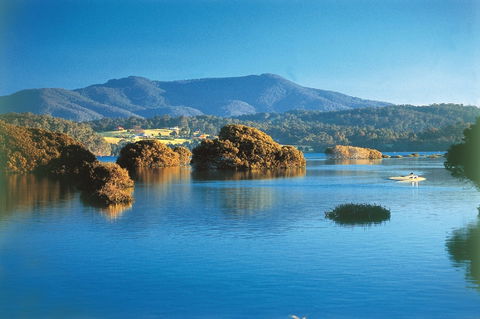 Wagonga Picnic Area - Sydneys Hotel 0