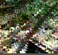 Watagans National Park