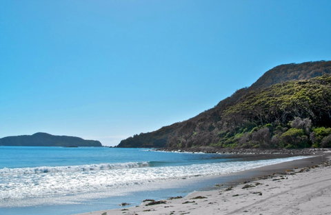 Yacaaba Headland Walking Track - Sydneys Hotel 0