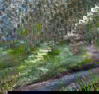 Anabranch Loop Track - Sydneys Hotel