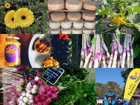 Ballina Farmers Market - Sydneys Hotel 1