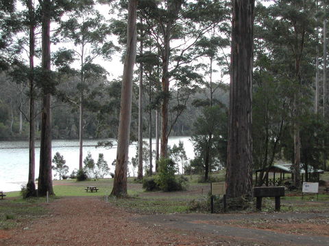 Big Brook Arboretum - Sydneys Hotel 0