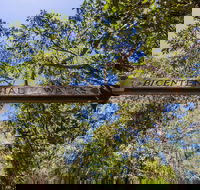 Bribie Island Bicentennial Trails - Sydneys Hotel