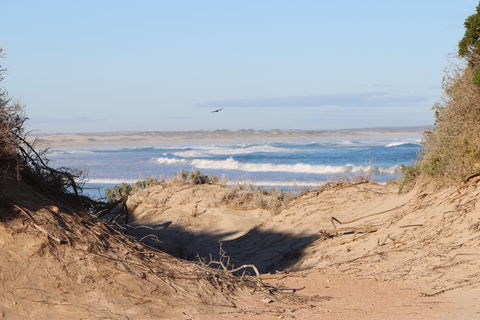 Chadinga Conservation Park - Sydneys Hotel 1