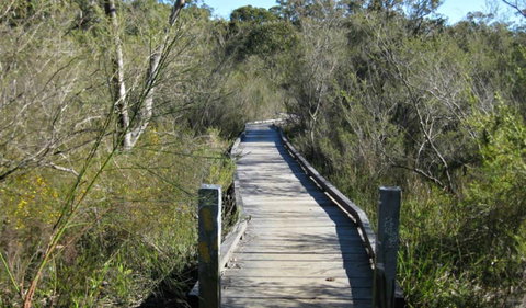 Falcon Crescent Link Track - Sydneys Hotel 0